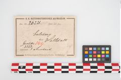 Etikett zu Bronzebuckelarmreif (NHMW-PRAE-026221)